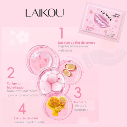 Mascarilla nocturna de colágeno Hoygi (Korea)