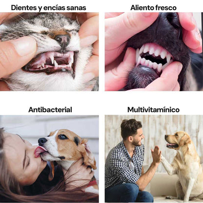 OralPet - Higiene bucal real para perros y gatos
