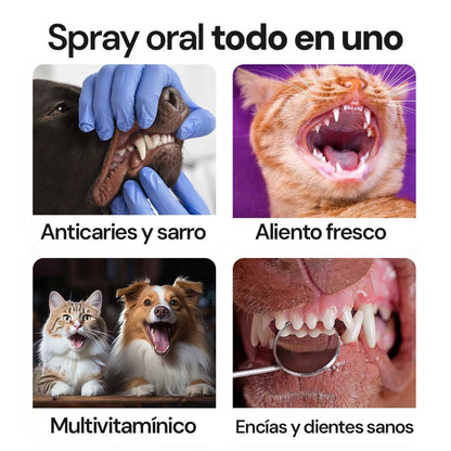 OralPet - Higiene bucal real para perros y gatos